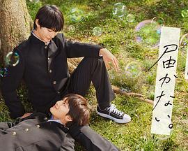 内裤畸情少说海报剧照