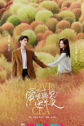 家里贤惠的妻子海报剧照