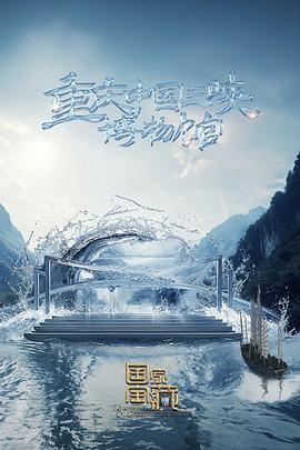 美国女飞行员海报剧照